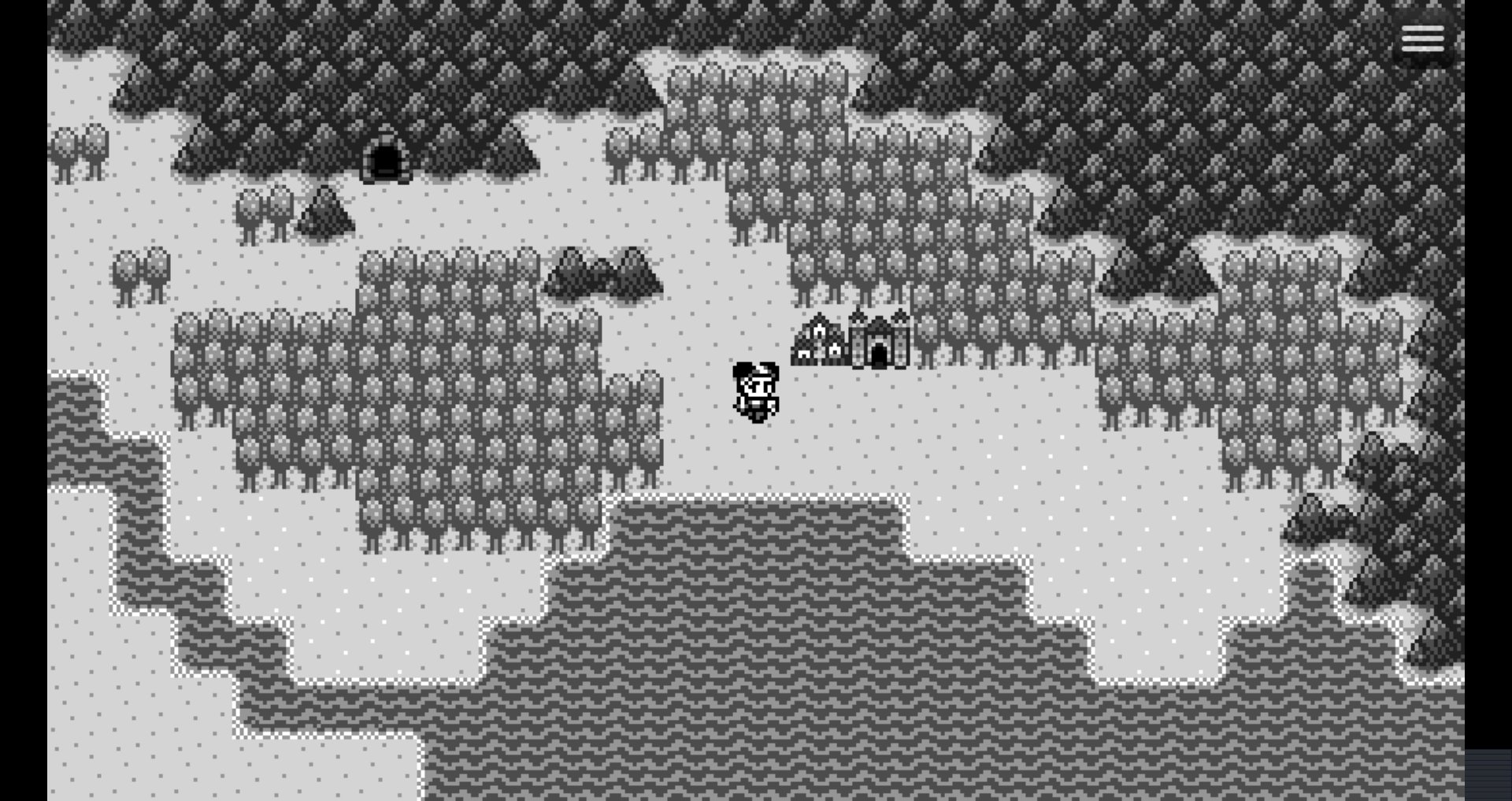 Screenshot of a retro-style video game in grayscale. In the center of the screen is a small pixel sprite depicting a young woman with her hair in space buns. She's holding a sword and a shield. She's standing outside on an overworld map portraying a bay. The sea is to her south; mountains bound the north and east. The land is covered with alternating swaths of forest and plains. A river winds along the southwest corner of the screen. Slightly northeast of the heroine is a little town and castle on the border of the woods. Farther away, to the northwest, a cave opens from the mountainside.